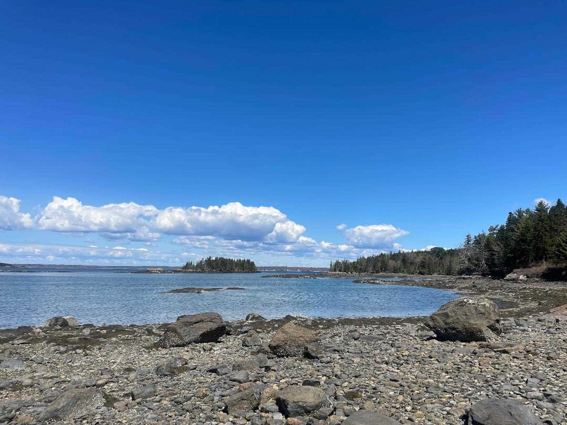 Beach by Seal Rock