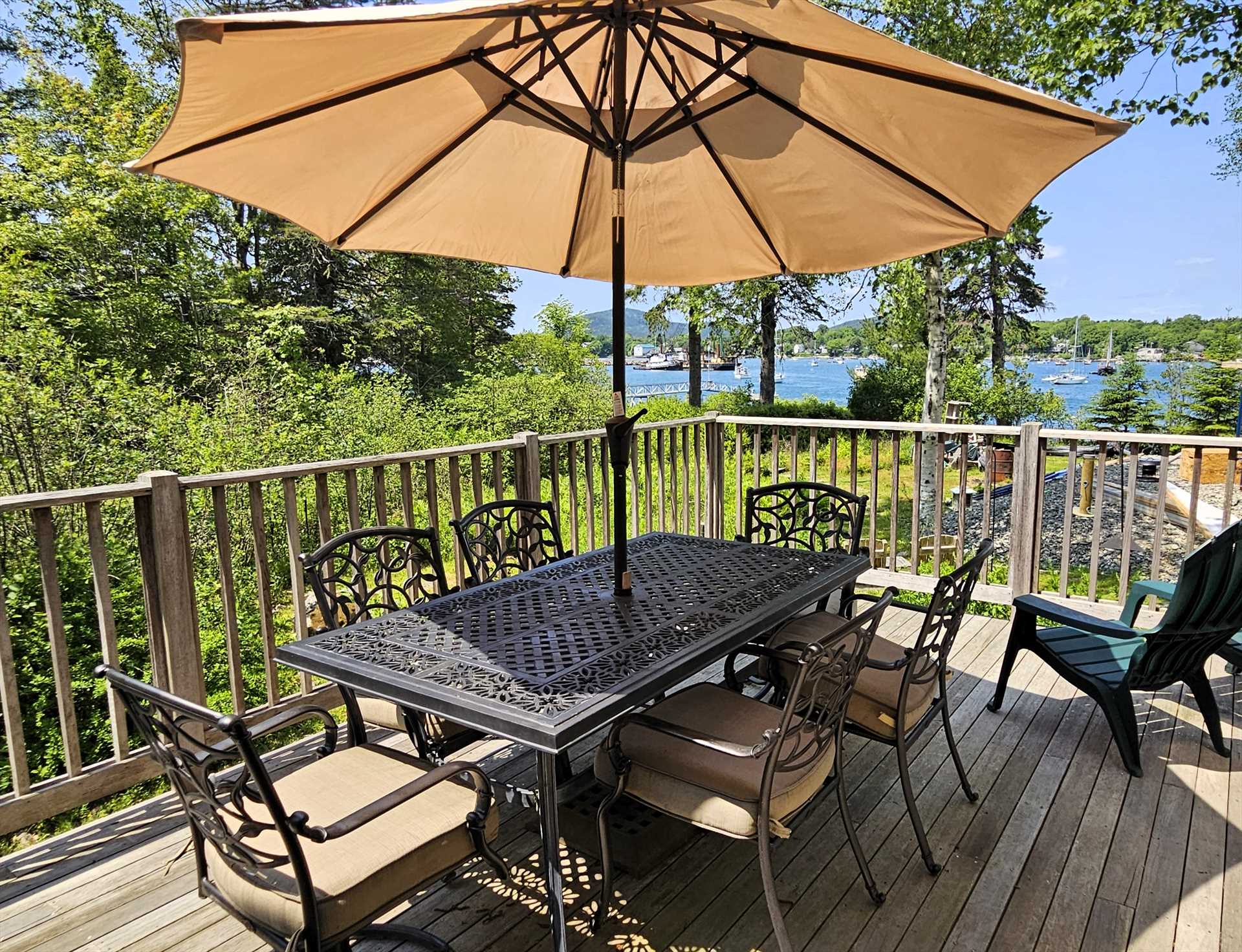 Deck with a View