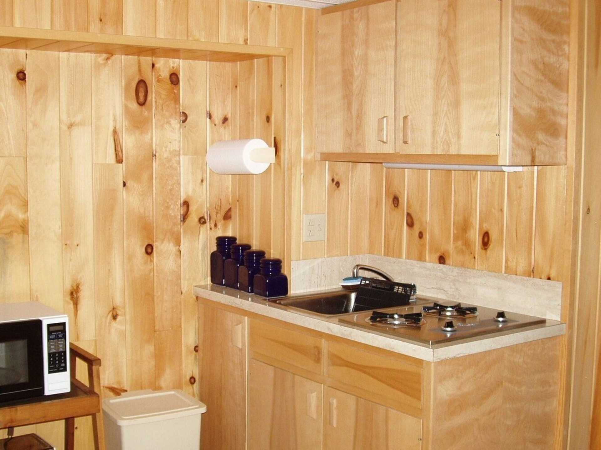 Lower level kitchenette with stove top, microwave,and under 