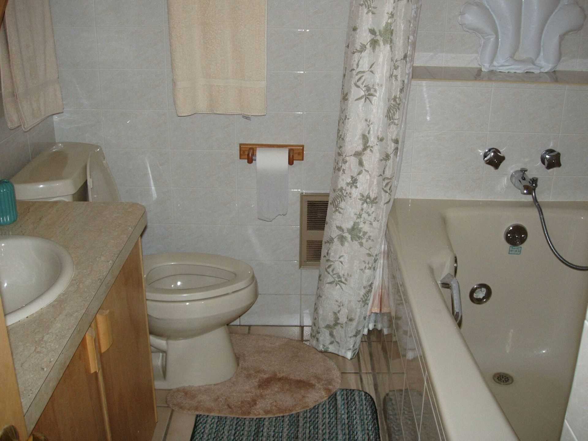 Lower level private bath with Jacuzzi tub