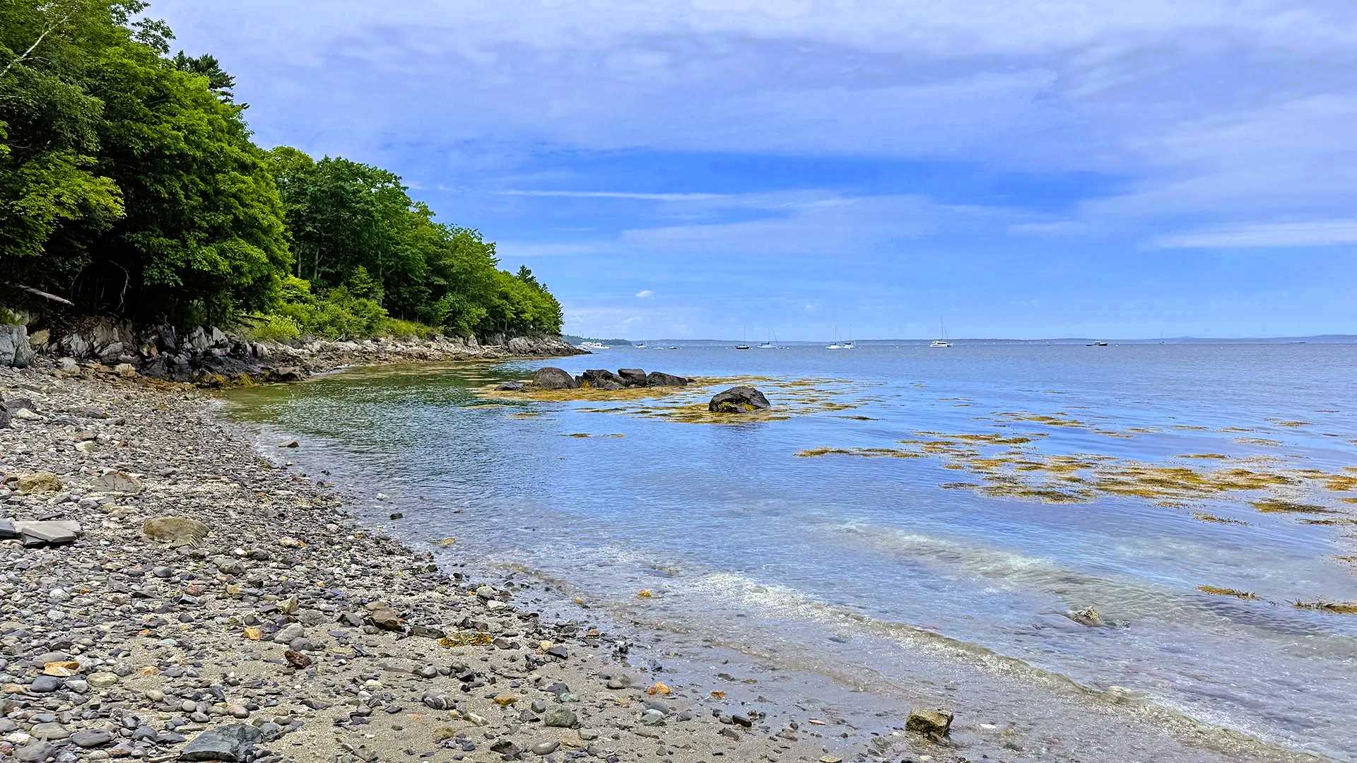 Shore view