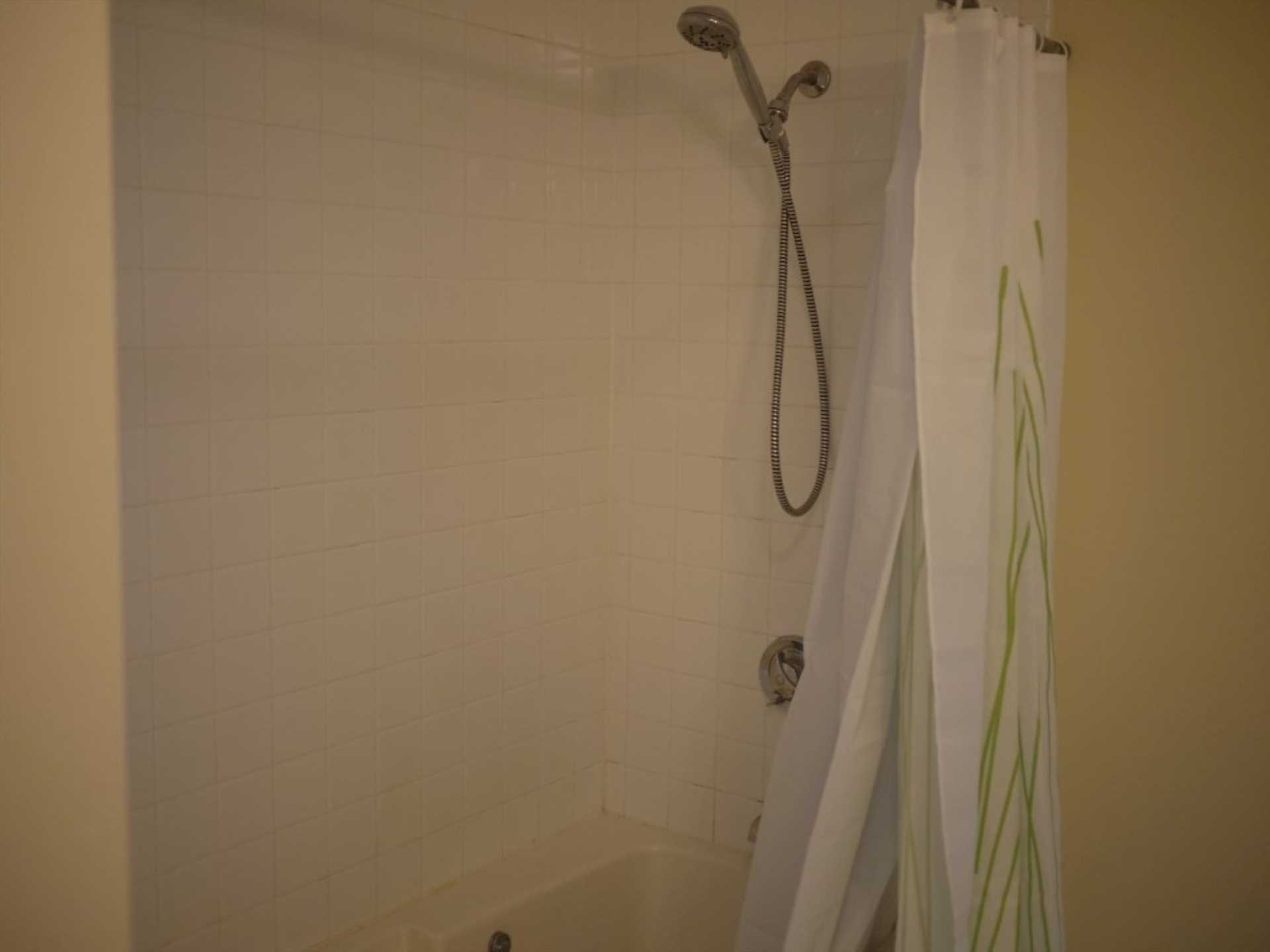 1st floor Master Bath