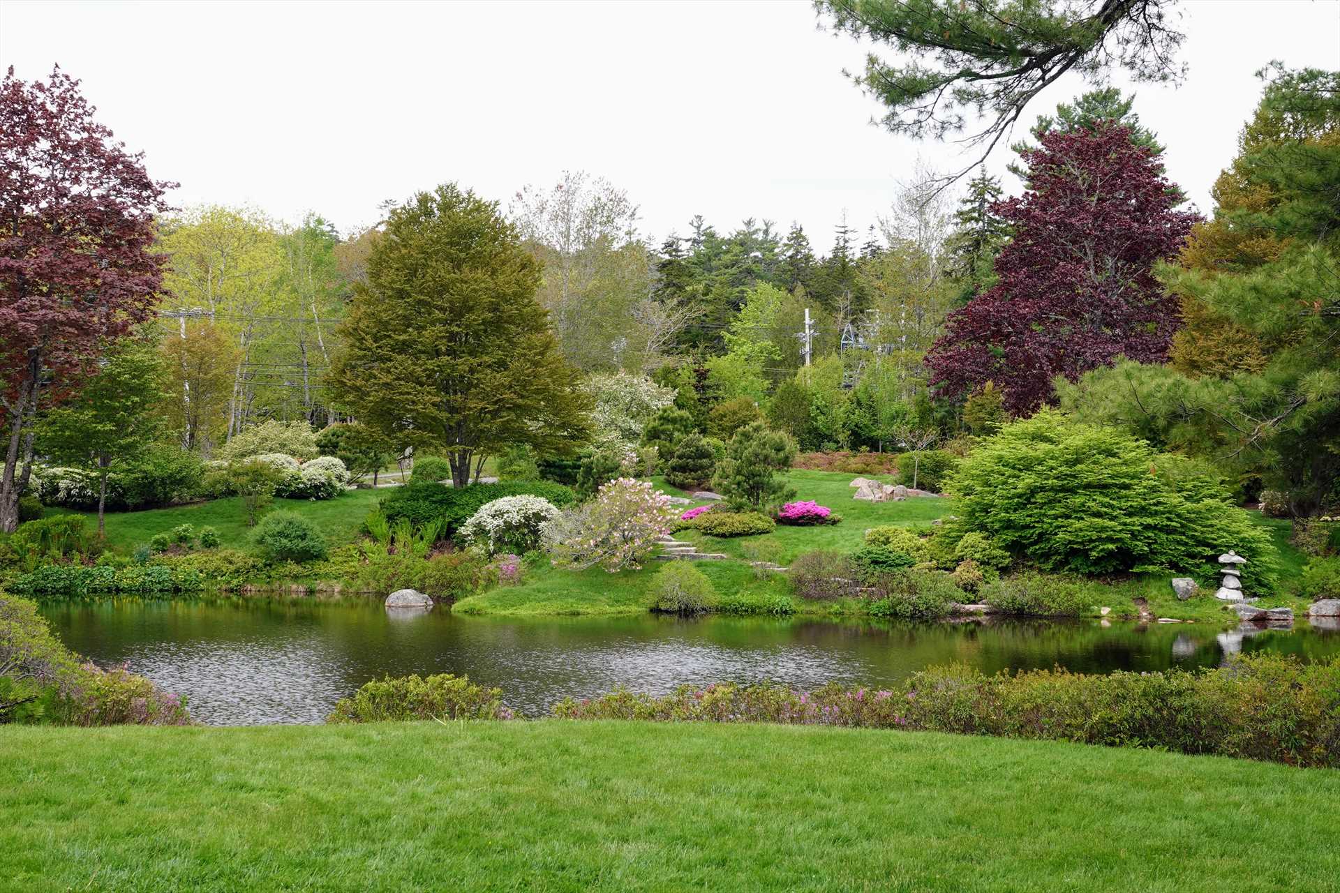 Asticou Azalea Garden