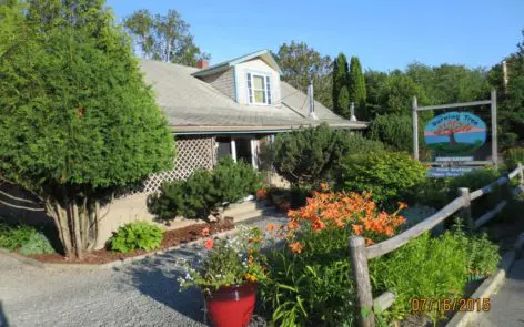 A house with many flowers in the yard