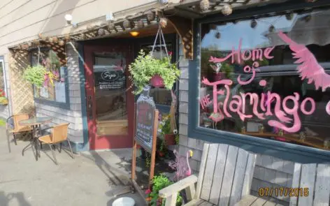 A store front with plants and flowers on the outside.