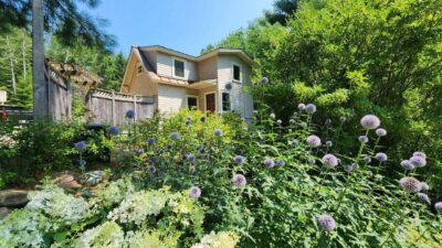 A charming house surrounded by a lush garden full of a blooming flowers.